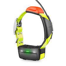 Garmin naprava za pse T 5X